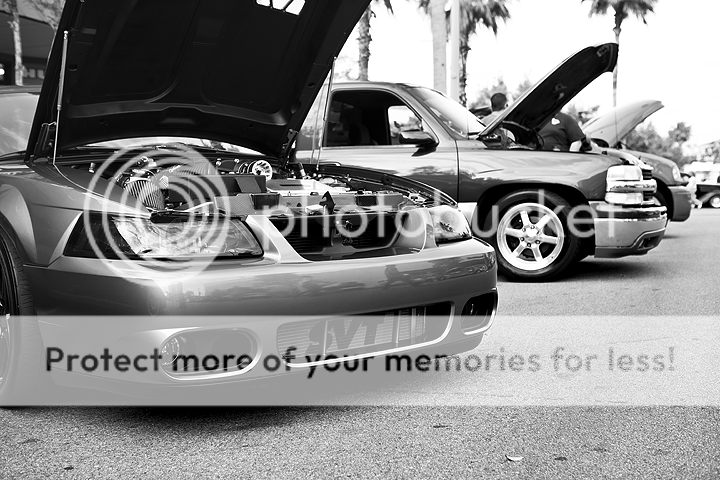 IMAGE: http://i1170.photobucket.com/albums/r523/valenciaphoto/Friday%20Fest%20-%204-6-2012/IMG_7700.png