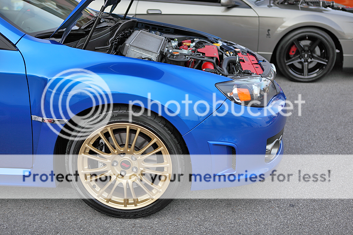 IMAGE: http://i1170.photobucket.com/albums/r523/valenciaphoto/Friday%20Fest%20-%20March%202nd%202012/IMG_5653.png