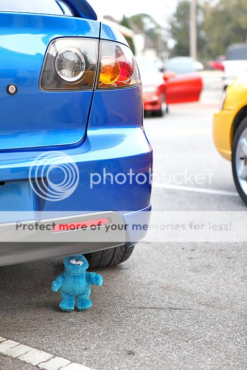 IMAGE: http://i1170.photobucket.com/albums/r523/valenciaphoto/Friday%20Fest%20-%20March%202nd%202012/IMG_5668.png