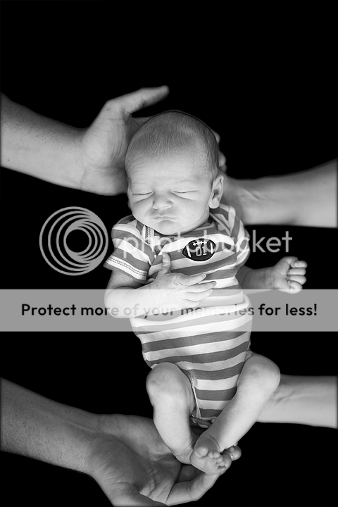 IMAGE: http://i1170.photobucket.com/albums/r523/valenciaphoto/IMG_4979.png