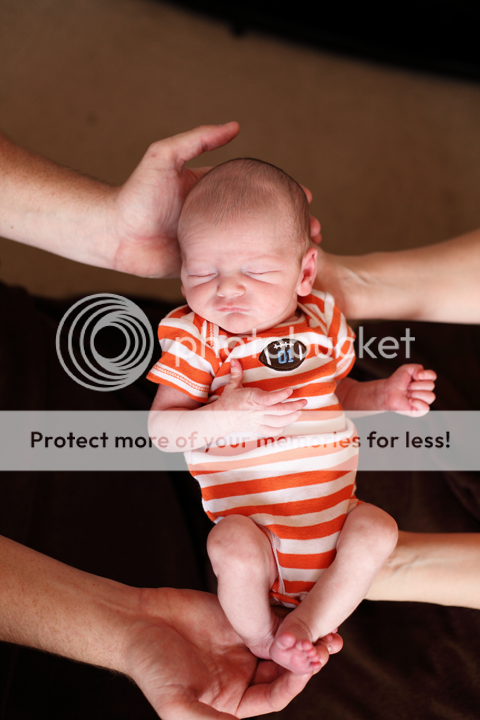 IMAGE: http://i1170.photobucket.com/albums/r523/valenciaphoto/IMG_4979_1.png