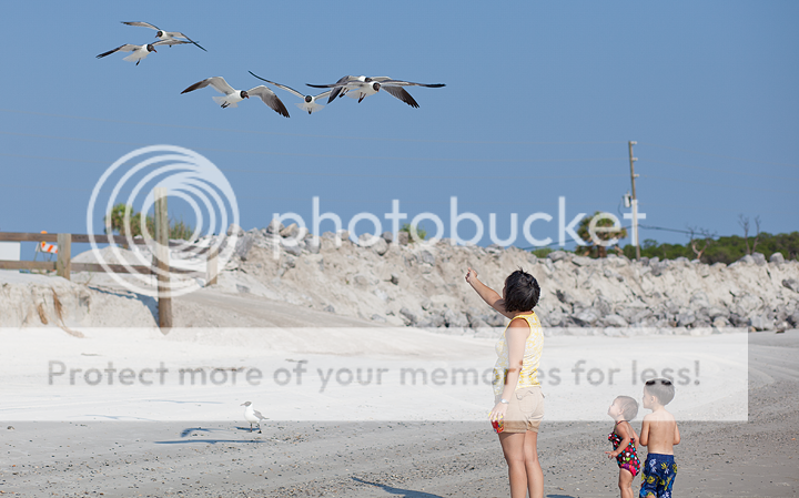 IMAGE: http://i1170.photobucket.com/albums/r523/valenciaphoto/IMG_8502.png