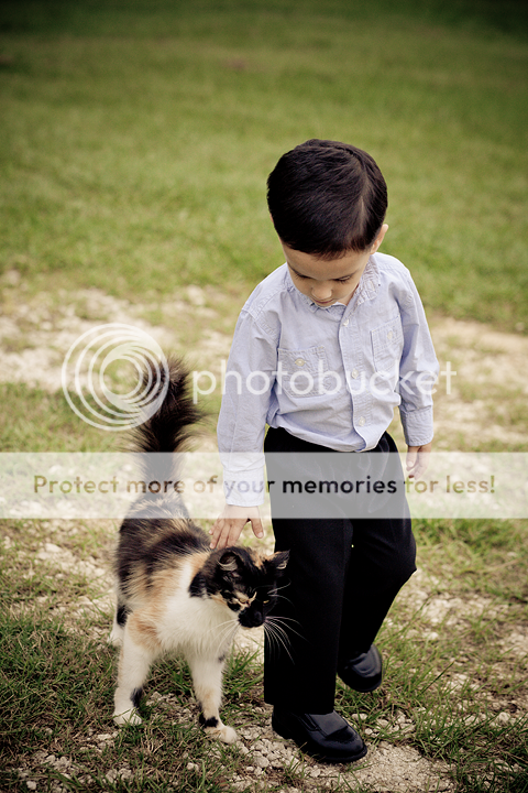 IMAGE: http://i1170.photobucket.com/albums/r523/valenciaphoto/IMG_8683.png