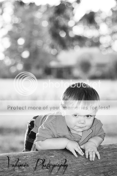 IMAGE: http://i1170.photobucket.com/albums/r523/valenciaphoto/IMG_9391.png