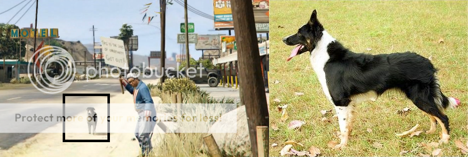 bordercollie_zpsd8abe704.png