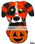 dogholdingpumpkinbasketlayersjake_zps092