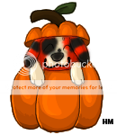 doginsidepumpkindrawingjake_zps6b87c8f4.