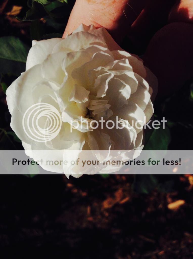  photo IMG_1220_zpse9bc130f.jpg