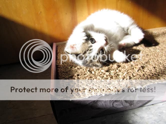  photo unnamed-2_zpsdfc3af2b.jpg