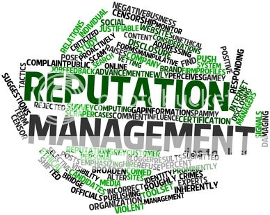 Online Reputation Management - Web Circle © adelwolfaden reputation management for politicians