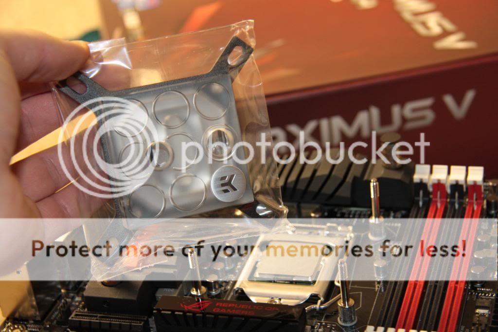 IMG_3073.jpg