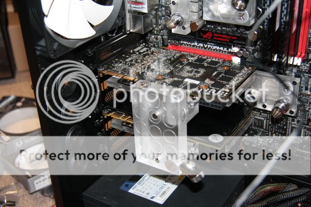 IMG_3146_zps409f7286.jpg