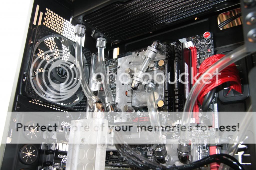 IMG_3167_zps19de31dc.jpg
