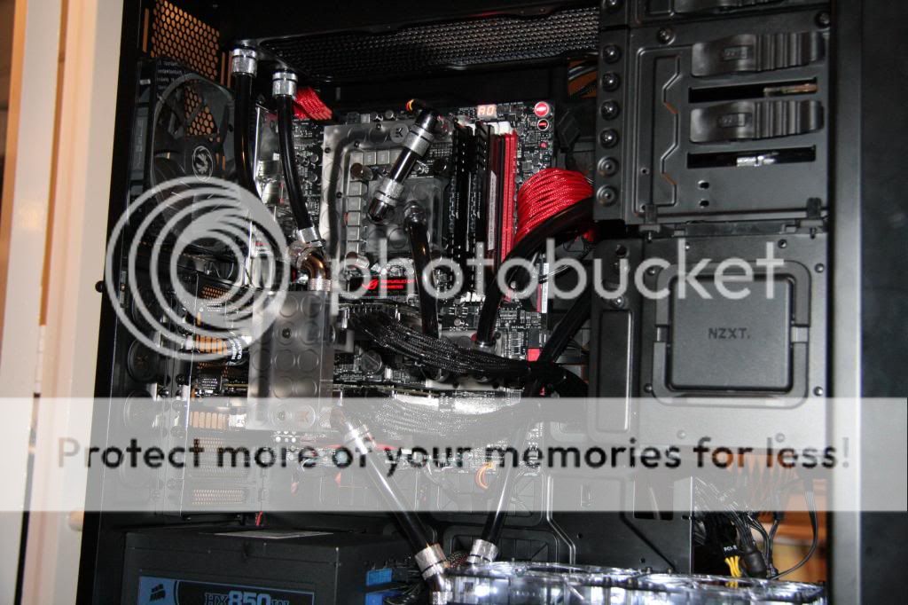 IMG_3179_zps357e8e15.jpg