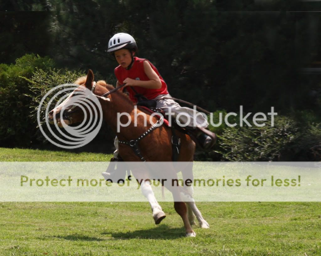 IMAGE: http://i1170.photobucket.com/albums/r536/Aithon/Five.jpg