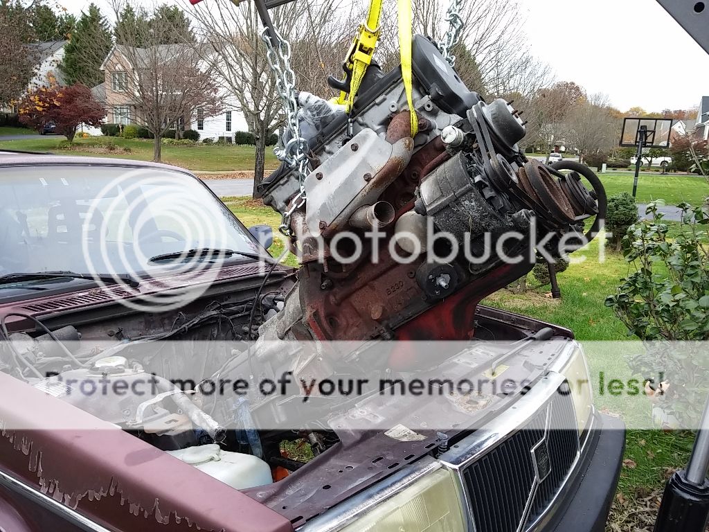  photo 20151102_145328_zpsf5trnch9.jpg