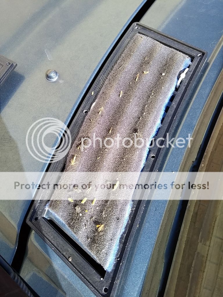  photo 20160405_093740_zpsbfbw0gkj.jpg