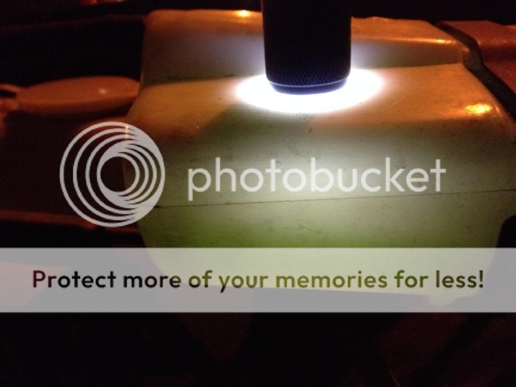  photo IMG_2084_zpsdc42203d.jpg