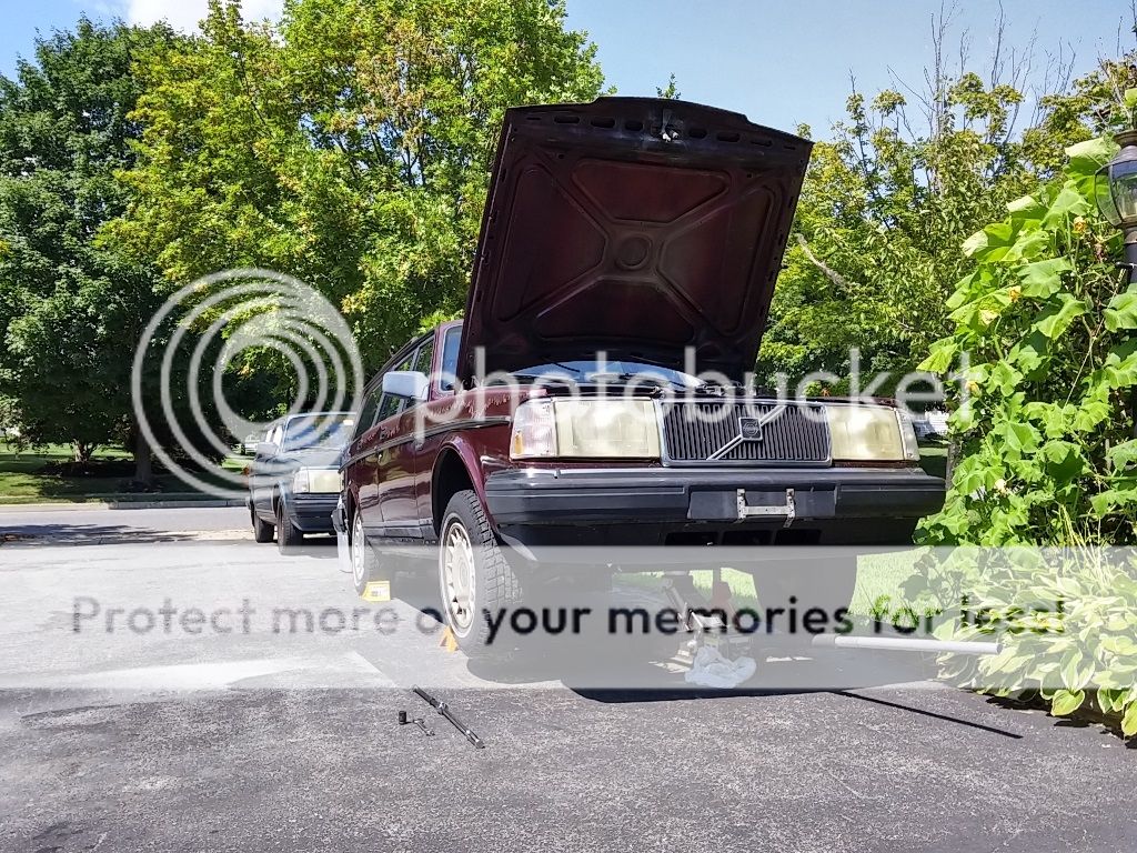  photo 20150801_145317_HDR_zpsnd7psq0w.jpg