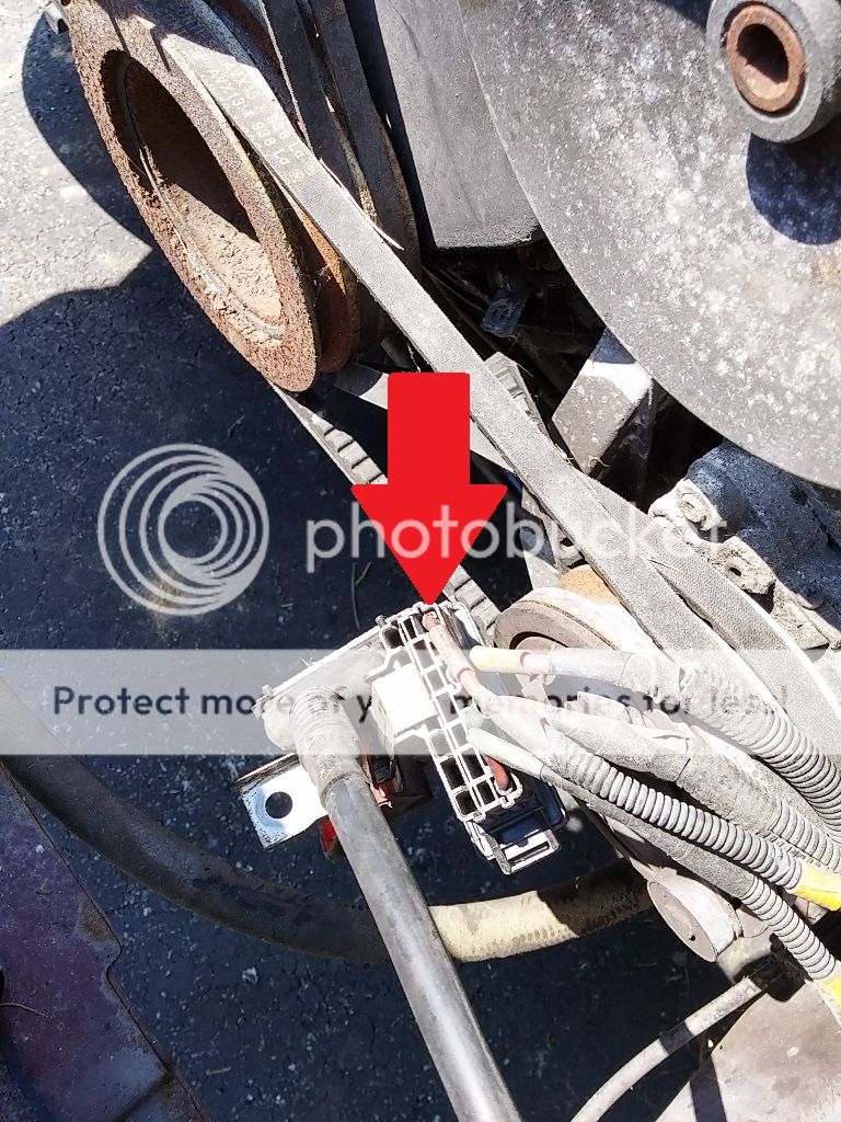  photo 20150801_152745_HDR_zpsqmp5ifmu.jpg