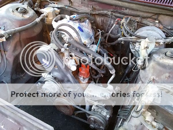  photo 20150907_190513_zpsxi6hbs5e.jpg