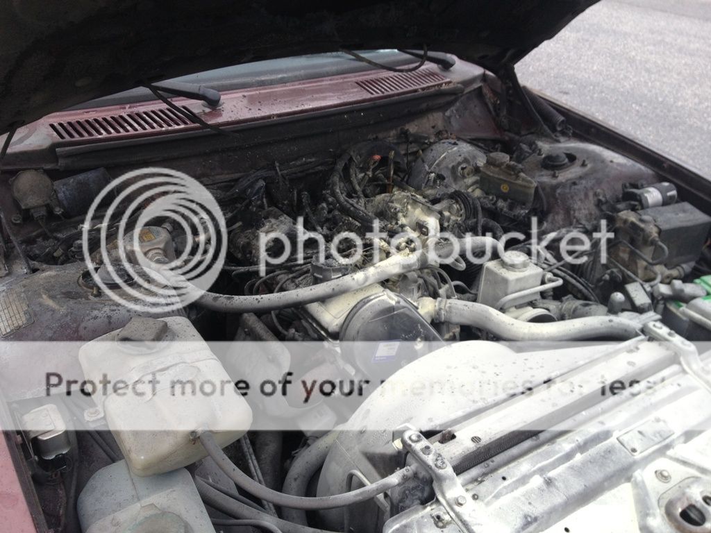  photo IMG_1282_zps2b337e4a.jpg