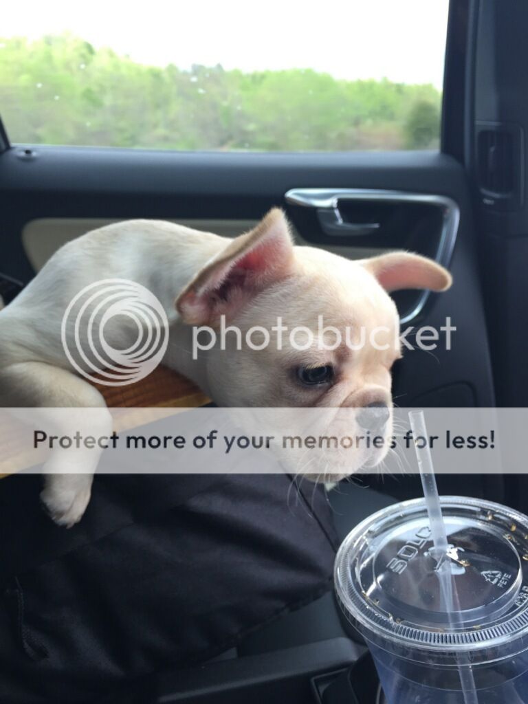  photo imagejpeg_0_zpskc4aafpe.jpg