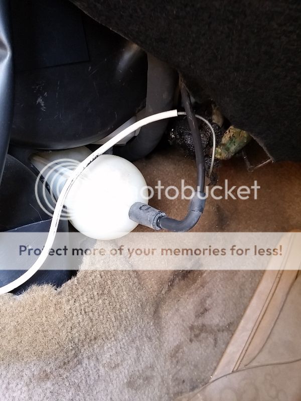  photo 20151127_131957_zpspggli8hf.jpg