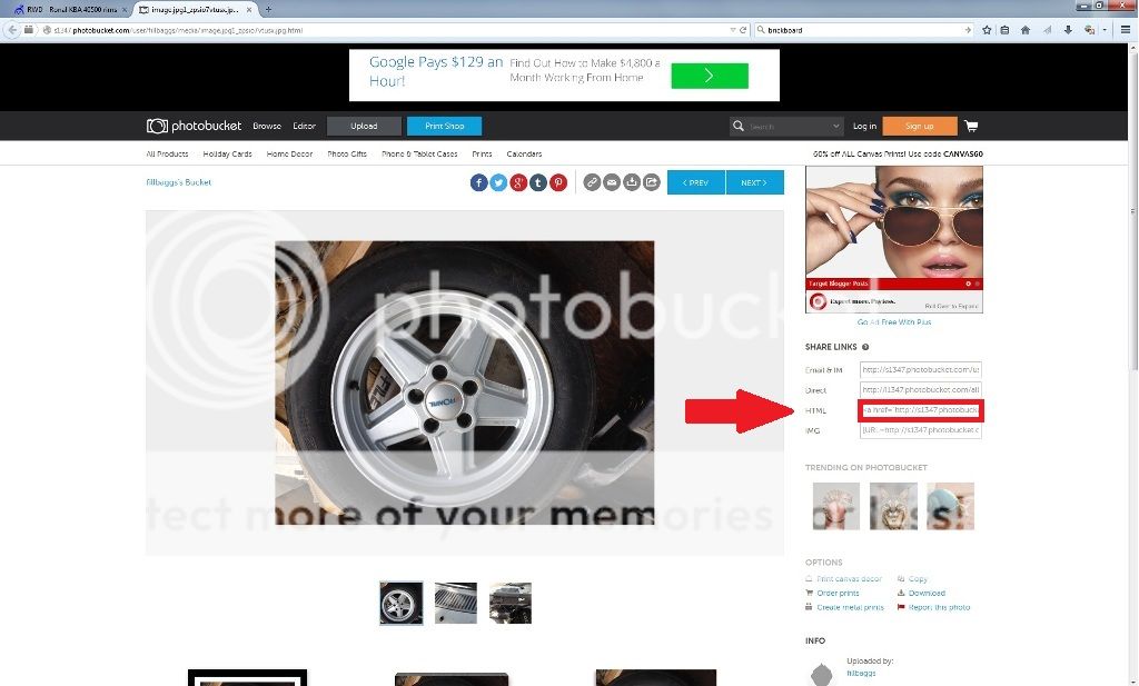  photo copying_zpsd6629648.jpg