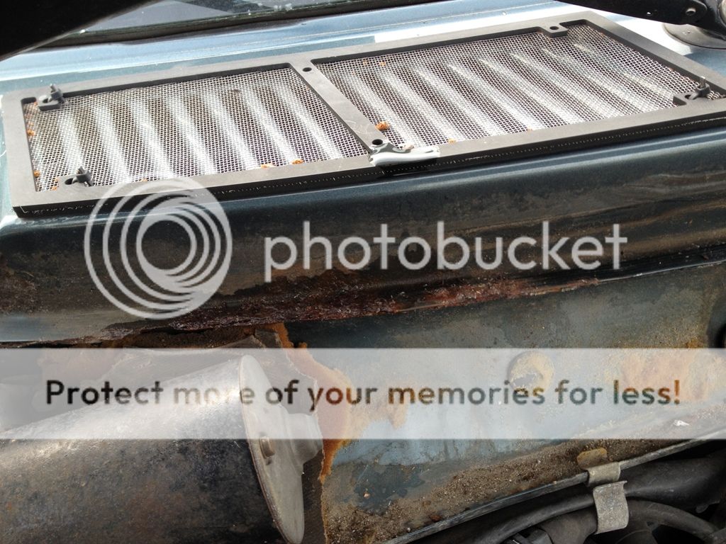  photo IMG_2650_zps8530f4c8.jpg