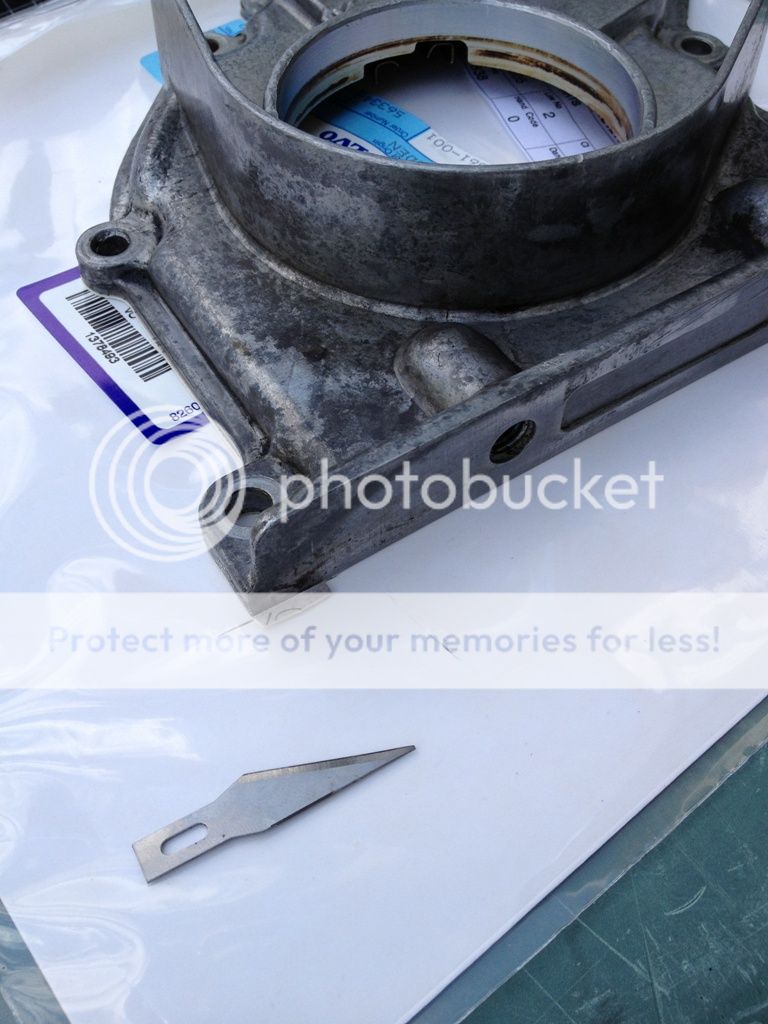  photo seal1_zpsf2d4c188.jpg