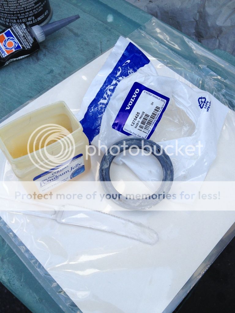  photo seal2_zpsc5ac76b8.jpg