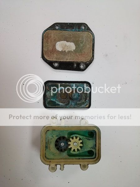  photo 20160810_163248_zpsfalhcdvd.jpg