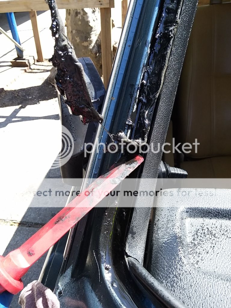  photo 20160410_1223341_zpshmwijoxz.jpg