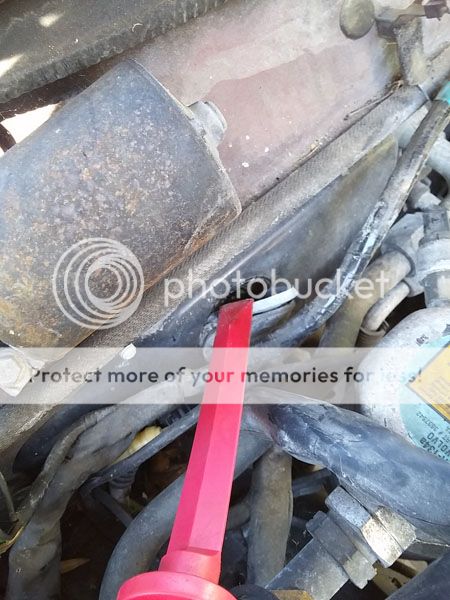  photo 20150907_155532_zpsnj4xjay4.jpg