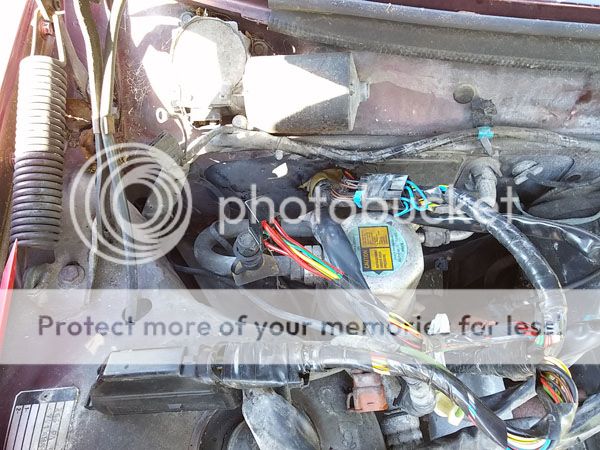  photo 20150907_160026_zps26oq7de6.jpg