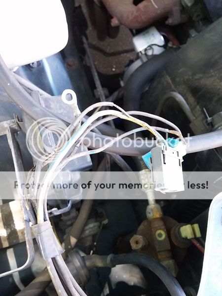  photo 20160725_121346_zpseekk8vgq.jpg