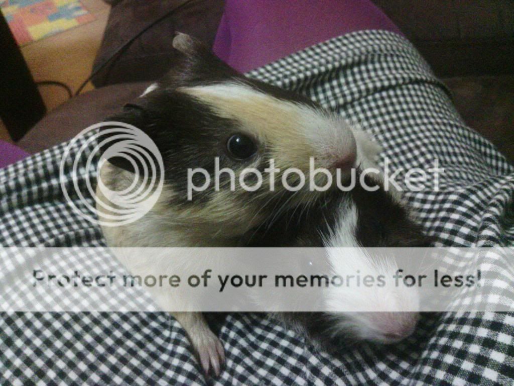 user posted image