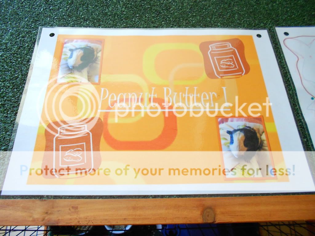 DSCN0151.jpg