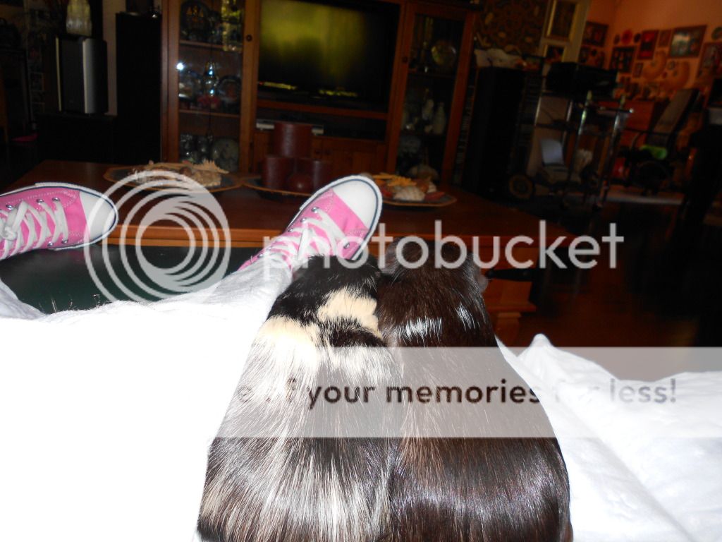 DSCN0502.jpg