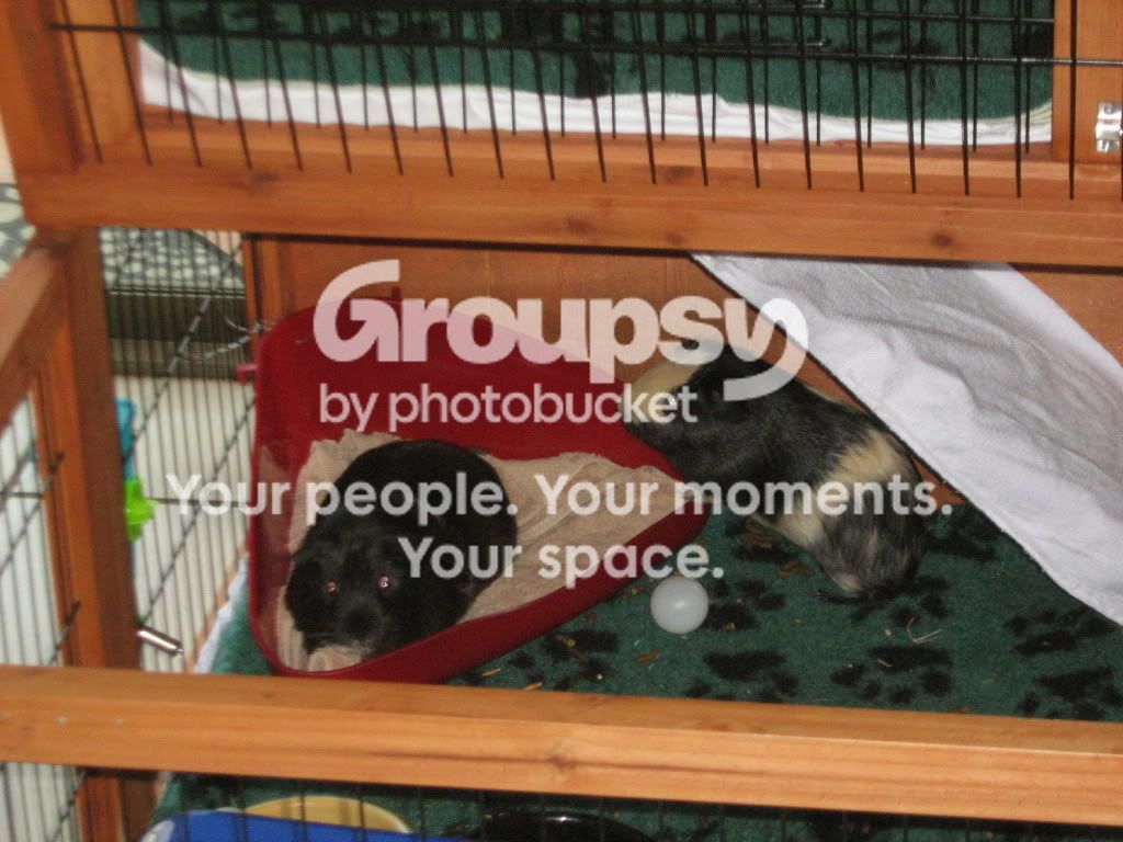 IMG_2595.jpg